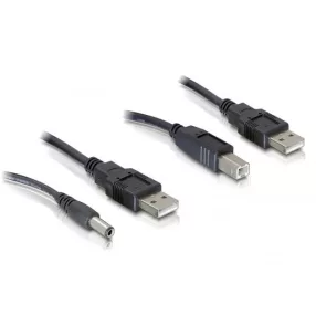 Delock kábelszett, 2db USB-A - DC + USB-B 30cm (DL-82461)