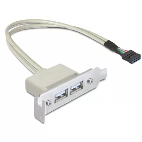 Delock Slot konzol USB 2.0 low profile 2 port (DL-83119)