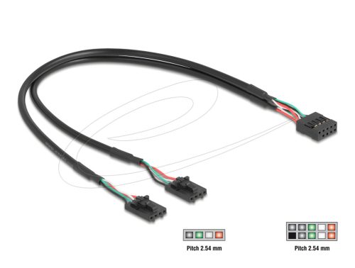 Delock Kábel USB 2.0-s csatlakozóhüvellyel, 2,54 mm, 10 tű a 2 x USB 2.0-s csatlakozóhüvellyel, 2,54 mm, 4 tű, 30 cm
