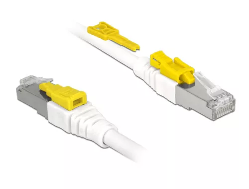 Delock Kábel 1 m-es RJ45 Secure csatlakozós Cat.6A (DL-85331)