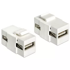   Delock Keystone modul USB 2.0 A anya> USB 2.0 A anya (DL-86317)