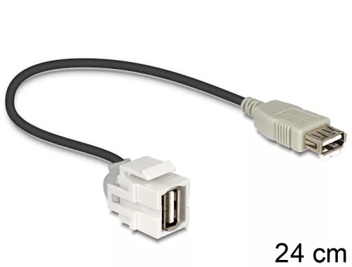 Delock Keystone modul USB 2.0 A anya > USB 2.0 A anya 250  kábellel (DL-86329)