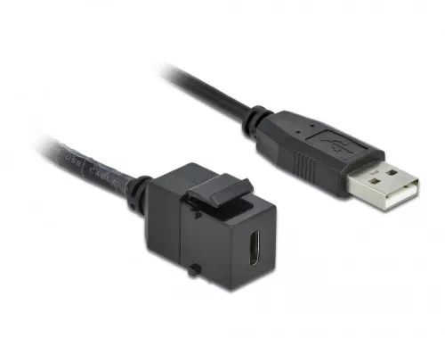 Delock Keystone modul, USB 2.0 C-csatlakozóhüvely > USB 2.0 A-csatlakozódugó, kábellel (DL-86378)