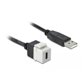   Delock Keystone modul, USB 2.0 C-csatlakozóhüvely > USB 2.0 A-csatlakozódugó, kábellel (DL-86382)
