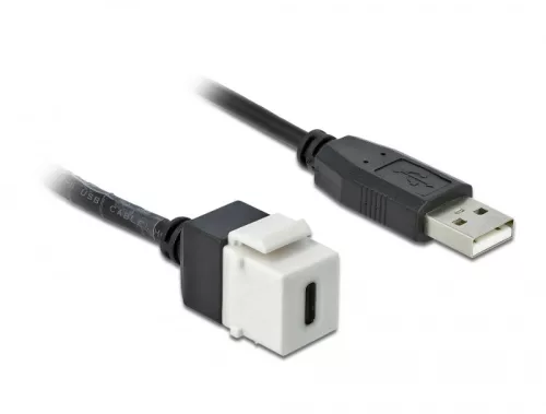 Delock Keystone modul, USB 2.0 C-csatlakozóhüvely > USB 2.0 A-csatlakozódugó, kábellel (DL-86382)