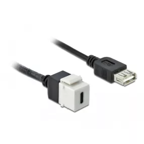   Delock Keystone modul, USB 2.0 C-csatlakozóhüvely > USB 2.0 A-csatlakozóhüvely, kábellel (DL-86391)