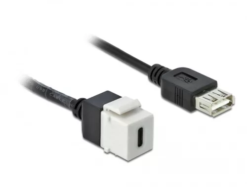 Delock Keystone modul, USB 2.0 C-csatlakozóhüvely > USB 2.0 A-csatlakozóhüvely, kábellel (DL-86391)