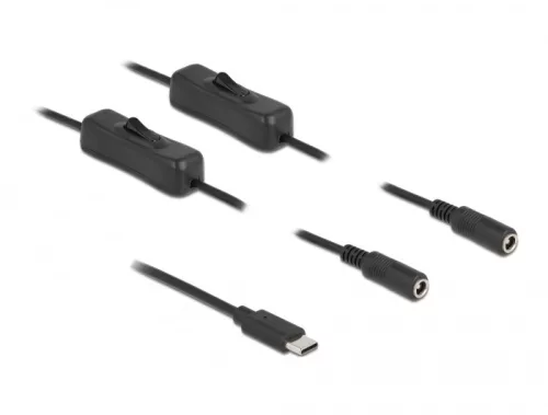 Delock USB Type-C  apa   2 db. DC 5,5 x 2,1 mm anya csatlakozójú, 1 méter hosszú kábel (DL-86800)