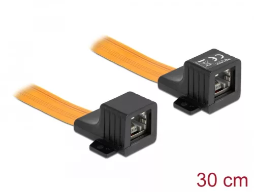 Delock RJ45 FPC (Flexibilis Nyomtatott Áramkör) ablakon átbújtató, 30 cm (DL-87031)