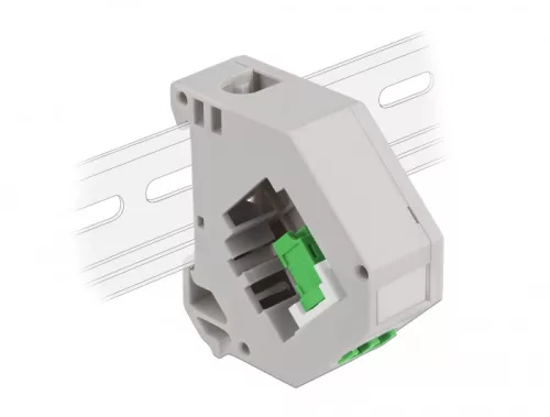 Delock Lila DIN sín adapter Keystone LC Duplex zöld (DL-87192)