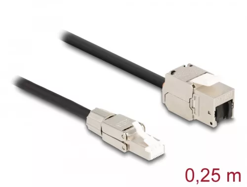 Delock Kábel RJ45 dugasz terepen szerelhető Keystone Module RJ45 aljzathoz Cat.6A 25 cm (DL-87203)