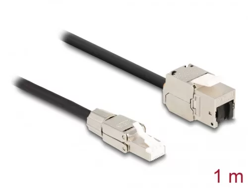 Delock Kábel RJ45 dugasz terepen szerelhető Keystone Modul RJ45 aljzathoz Cat.6A 1 m (DL-87206)