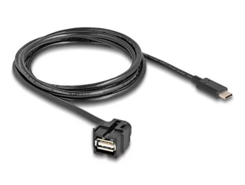 Delock Keystone modul, USB 2.0 A-anya > USB Type-C  apa 250 , kábellel 1,5 m (DL-88057)