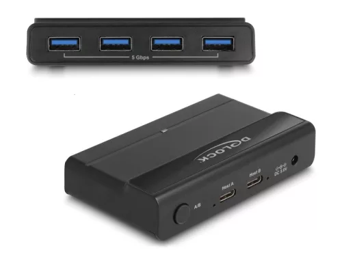 Delock USB 5 Gbps kapcsoló 4 db. eszköz és 2 db. Kiszolgáló (DL-88066)