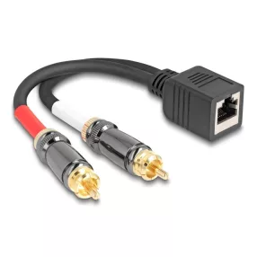   Delock RJ45 adapter kábel apa - 2 x RCA apa fekete, 20 cm (DL-88172)