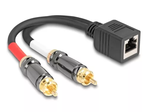 Delock RJ45 adapter kábel apa - 2 x RCA apa fekete, 20 cm (DL-88172)
