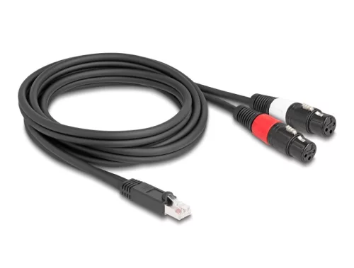 Delock Adapter RJ45 kábel apa - 2 x XLR 3 tűs anya fekete színű 2 m (DL-88176)
