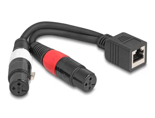 Delock Adapter RJ45 kábel anya - 2 x XLR 3 tűs anya fekete színű 20 cm (DL-88178)