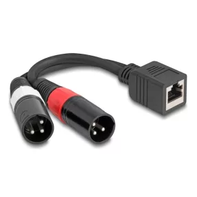   Delock Adapter RJ45 kábel anya - 2 x XLR 3 tűs apa, fekete színű 20 cm (DL-88179)