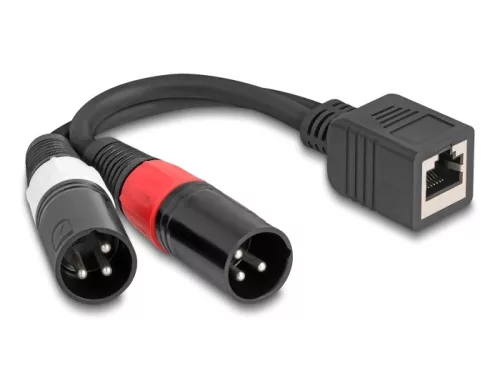 Delock Adapter RJ45 kábel anya - 2 x XLR 3 tűs apa, fekete színű 20 cm (DL-88179)