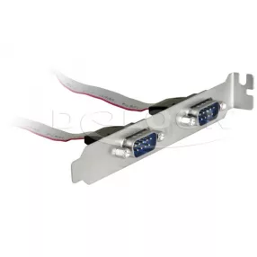 Delock Slot Konzol > 2 x Soros (DL-89268)