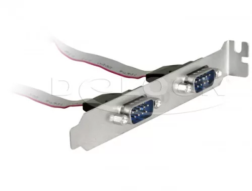 Delock Slot Konzol > 2 x Soros (DL-89268)