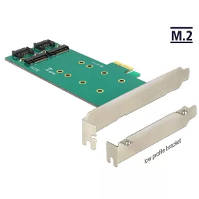   Delock PCI Express kártya > 2 x belső M.2 Key B 110 mm - Alacsony profilú (DL-89473)