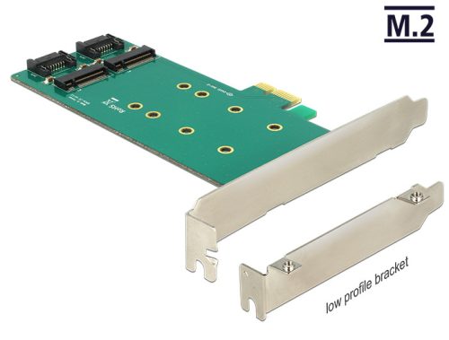 Delock PCI Express kártya > 2 x belső M.2 Key B 110 mm - Alacsony profilú