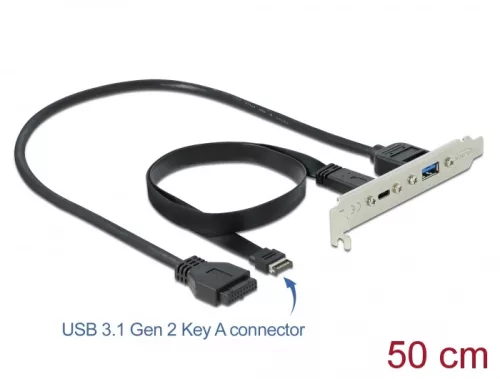 Delock Csatlakozó aljzat 1 x USB Type-C  és 1 x USB A-típusú porttal (DL-89934)
