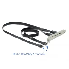 Delock Csatlakozó aljzat 2 x USB Type-C  porttal (DL-89935)