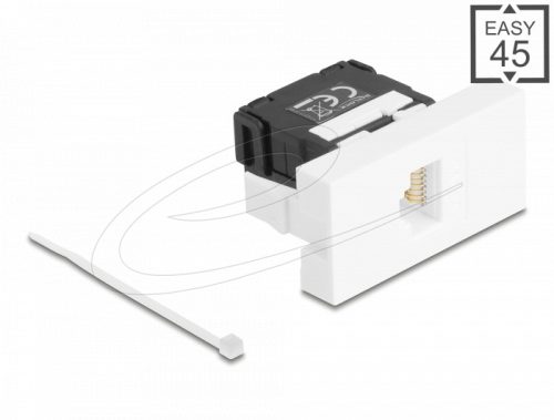Delock Easy 45 modul RJ45 jack csatlakozó LSA Cat.6A 180 -os szerszámmentes fekete/fehér