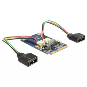   Delock modul MiniPCIe I/O teljes méretű 2 x USB 2.0 A típusú anya (DL-95242)