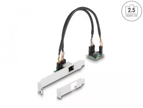 Delock Mini PCIe I/O PCIe teljes méretű 1 x RJ45 2,5 Gigabit LAN (DL-95271)