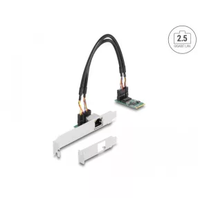   Delock Átalakító, M.2 aljzat B+M nyílással 1 x RJ45 2,5 Gigabit LAN (DL-95272)