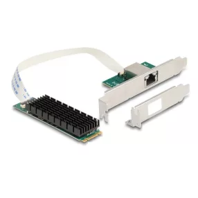   Delock Átalakító, M.2 aljzat B+M nyílással 1 x RJ45 10 Gigabit LAN (DL-95274)