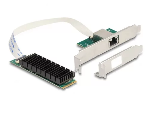 Delock Átalakító, M.2 aljzat B+M nyílással 1 x RJ45 10 Gigabit LAN (DL-95274)