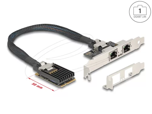 Delock Mini PCIe I/O PCIe teljes méretű 2 x RJ45 Gigabit LAN (DL-95280)