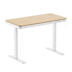   Logilink Elektromosan állítható magasságú asztal, vezeték nélküli töltés, 2x USB port (EO0055W)