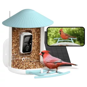 Birdfy