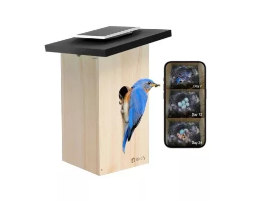 Birdfy Madáretető kamerával, ébenfa, AI nélkül (EPPAMBNI8802110)