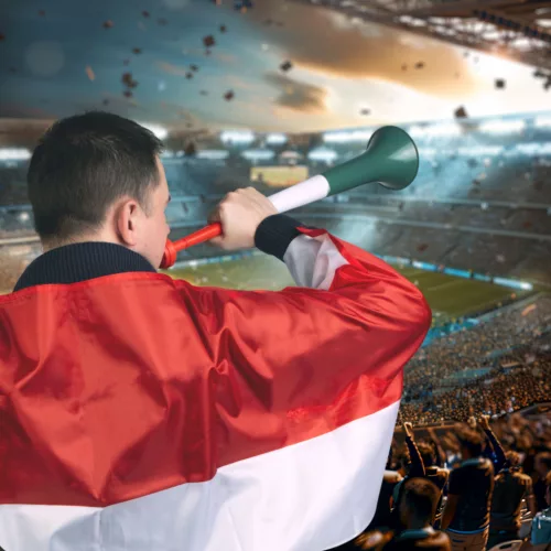 Family PR050 Szurkolói duda - 53,5 x 12 cm