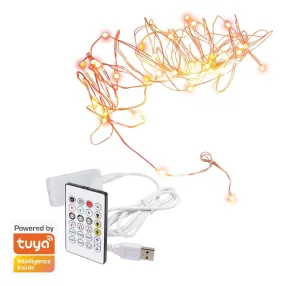   LogiLink Wi-Fi intelligens RGB fényfüzér távirányítóval, Tuya kompatibilis, 5 m (SH0130)